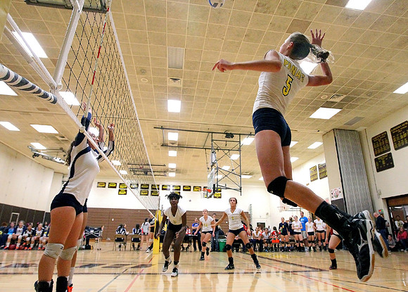 Sports/Volleyball